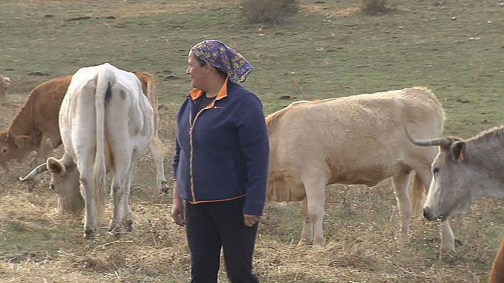 Mujer y emprendedora rural: Eva Tocino gestiona una explotación ...