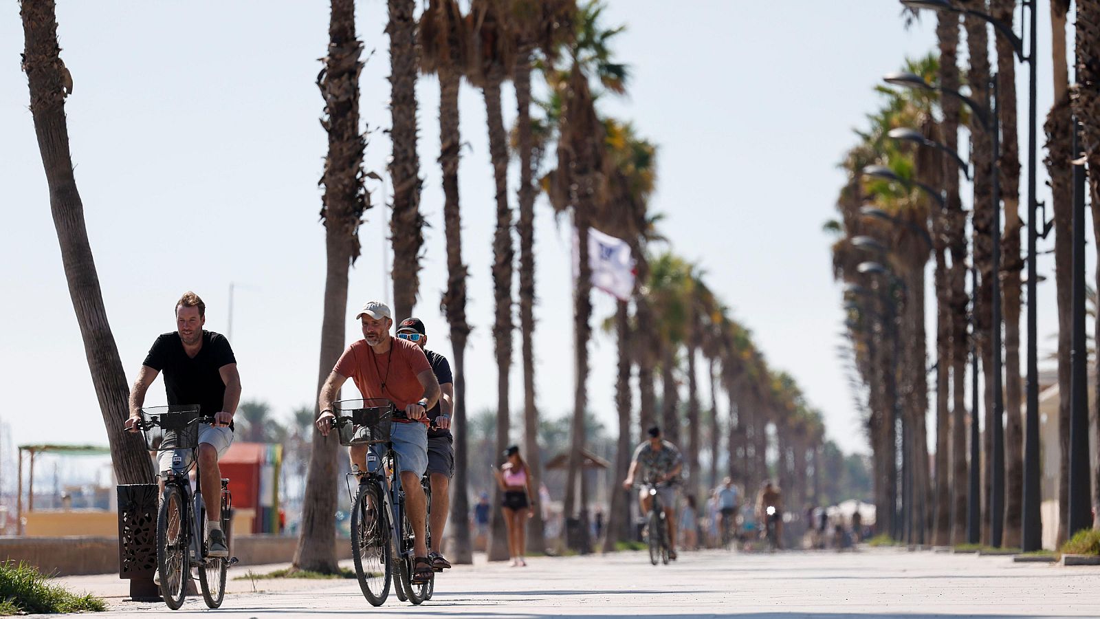 Varios ciclistas y peatones disfrutan de un soleado día paseando por una amplia avenida costera flanqueada por palmeras.