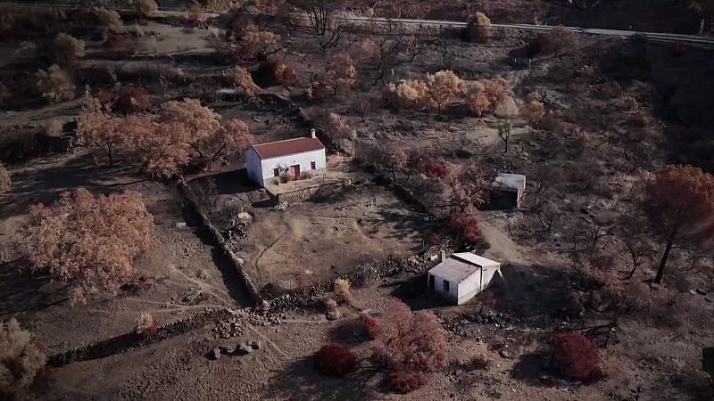 Vista aérea de un cortijo rural blanco rodeado por un paisaje montañoso calcinado y árboles quemados tras un incendio.