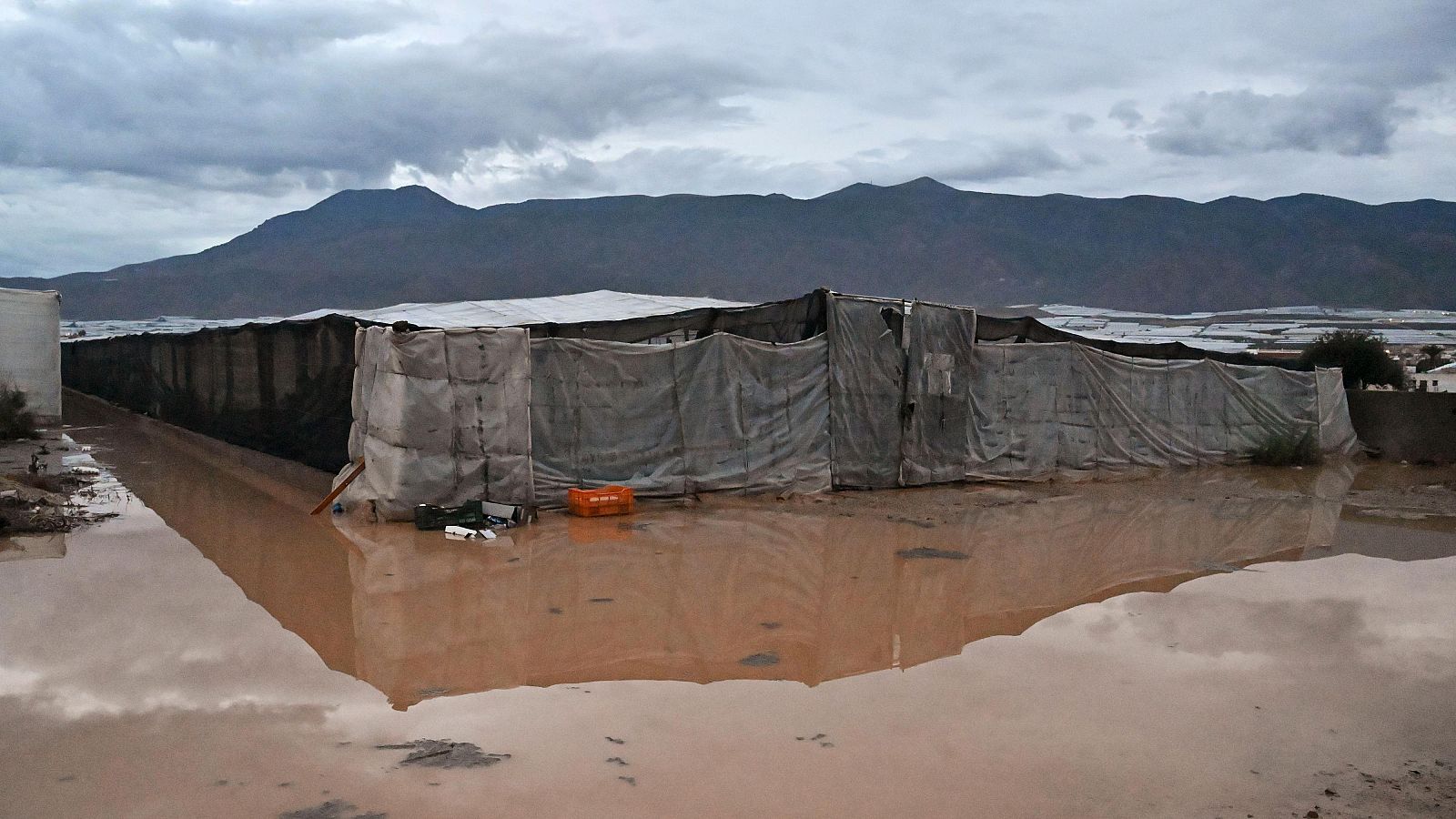 Vista del municipio de El Ejido (Almería), que ha activado este sábado el Plan de Emergencias Municipal tras registrar más de un centenar de incidencias por las intensas precipitaciones asociadas a la dana Adam.