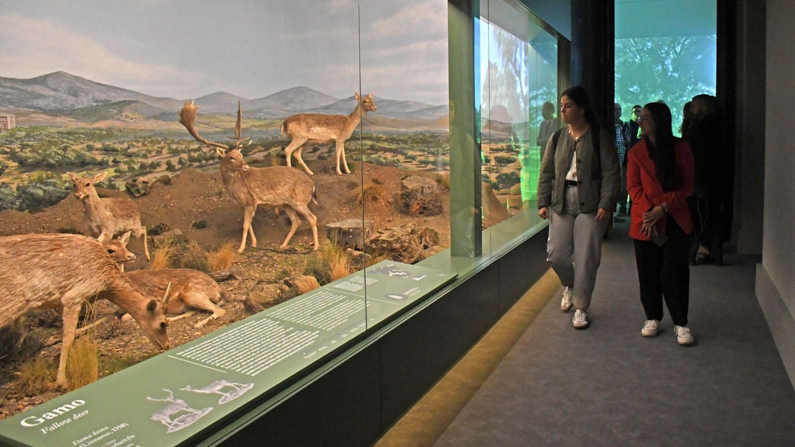 El Palacio de Riofrío estrena el Museo del Patrimonio Natural