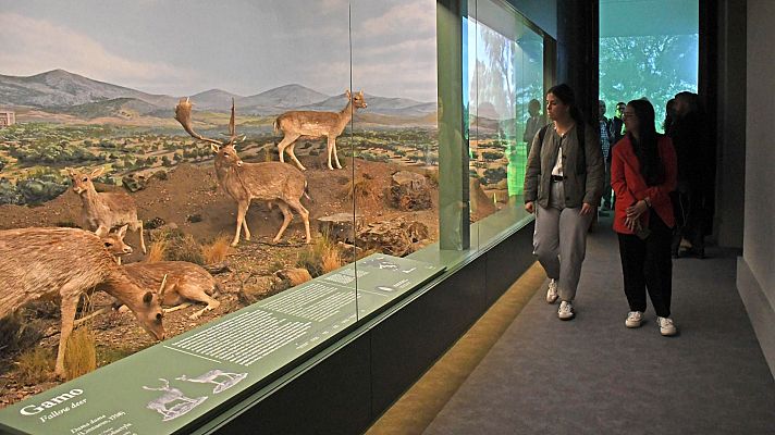 Noticias de Castilla y León - El Palacio de Riofrío estrena el Museo del Patrimonio Natural