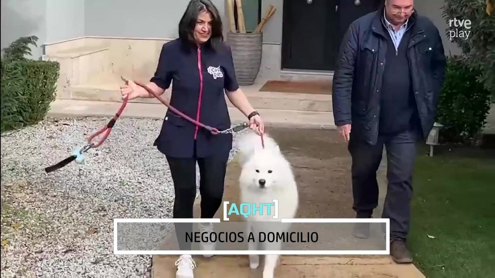 Una mujer con uniforme negro y un hombre pasean un perro Samoyedo por el jardín de una casa.