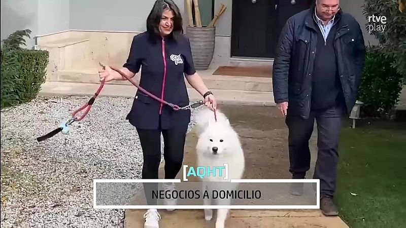 Una mujer con uniforme negro y un hombre pasean un perro Samoyedo por el jardín de una casa.