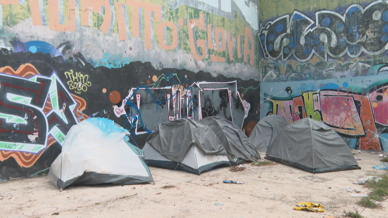 Varias tiendas de campaña instaladas junto a muros de hormigón cubiertos de grafitis en una zona urbana.