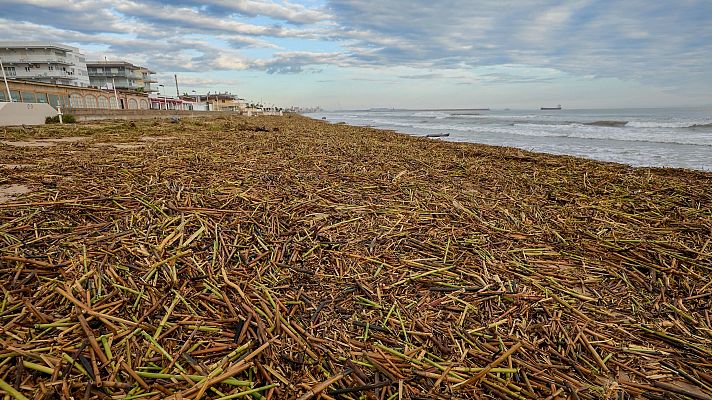 L'informatiu - Comunitat Valenciana - La temperatura del mar ha influido directamente en las tres últimas danas en la Comunitat Valenciana