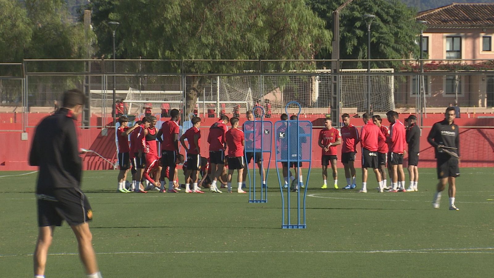 Futbolistas y cuerpo técnico entrenan sobre el césped en un día soleado, con jugadores formando un corro y barreras metálicas azules en el campo.