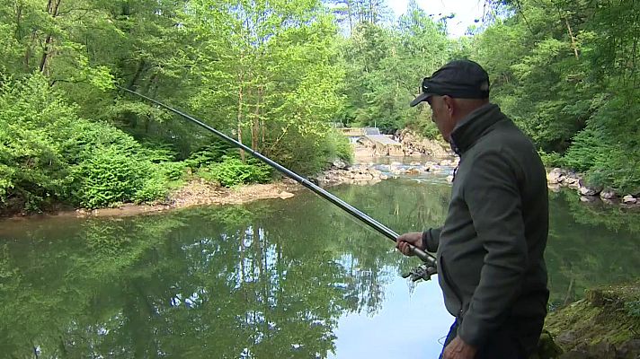 TeleCantabria - Cantabria restringe la pesca del salmón a 20 capturas