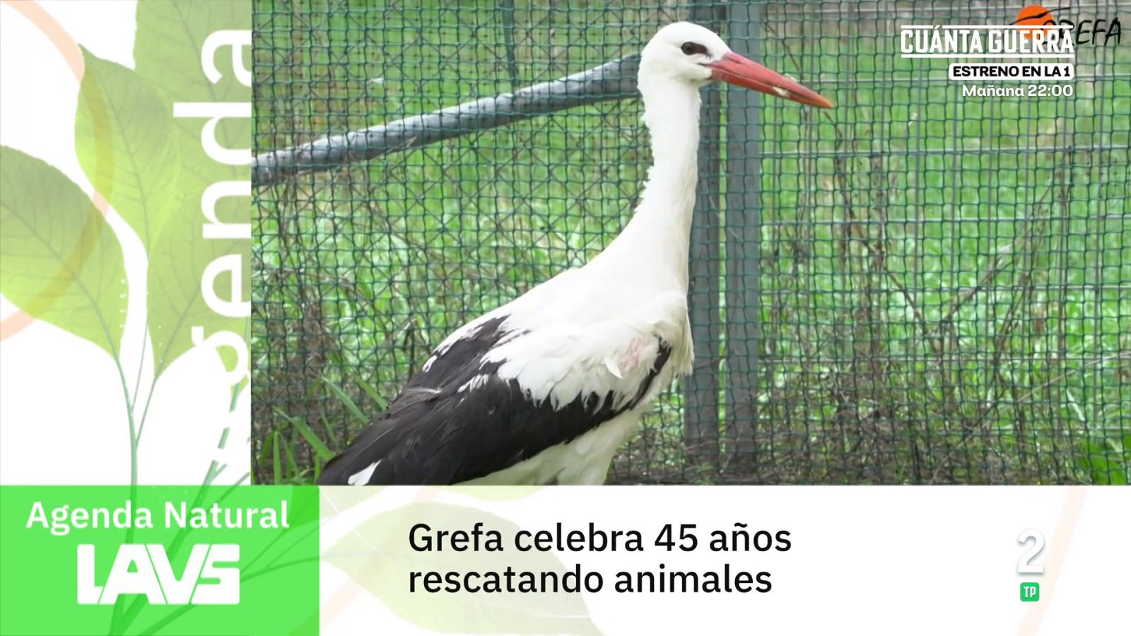 Agenda natural