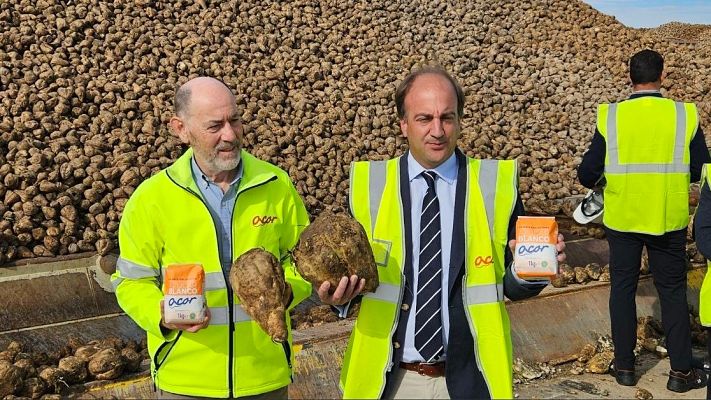  - Comienza la campaña azucarera en Castilla y León