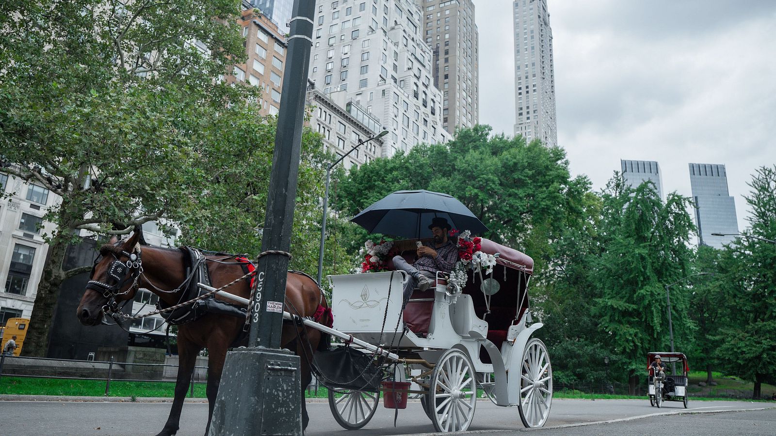 El Ayuntamiento de Nueva York votará la prohibición de los carruajes de caballos de Central Park