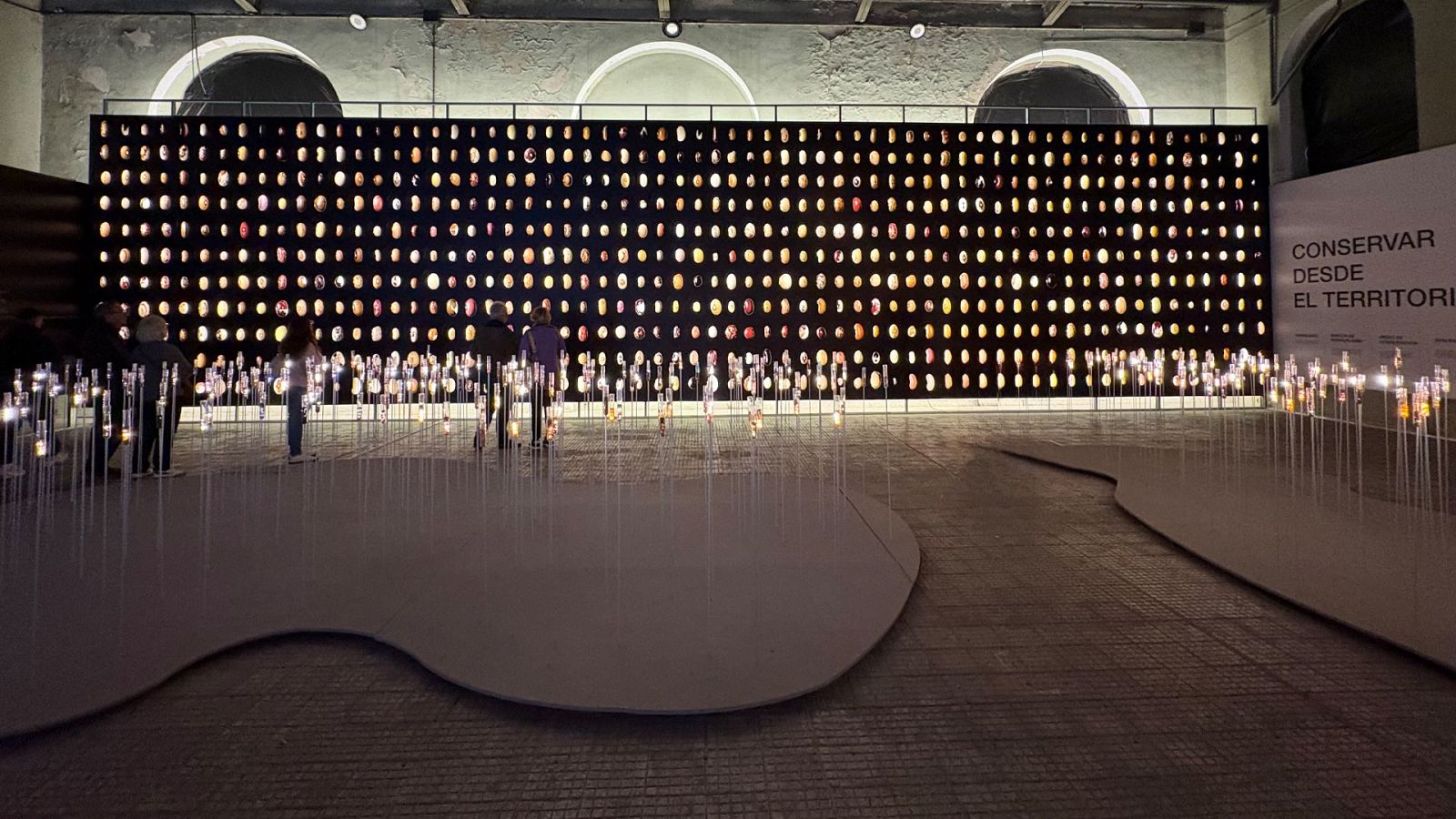 Sala de exposiciones oscura con un gran panel retroiluminado de semillas brillantes, plataformas con varillas luminosas y visitantes observando la muestra.
