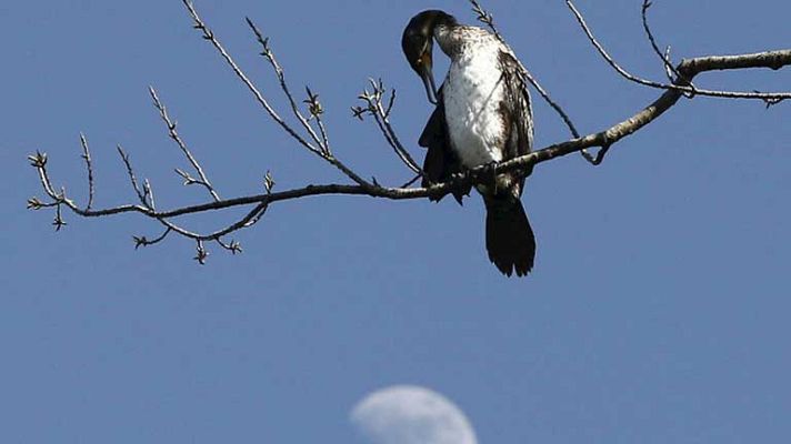 El tiempo - Nubes en el oeste de Galicia