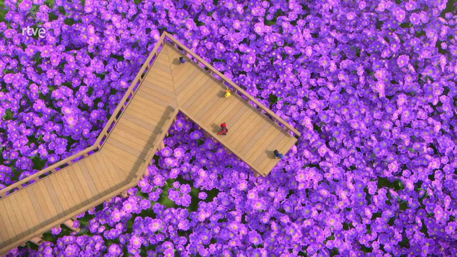 El equipo construye un sendero de superfloración __231026_______Ptr