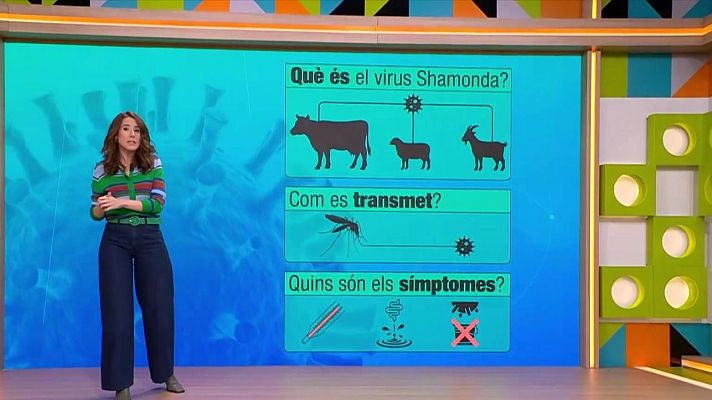 L'altaveu - Arriba el virus Shamonda a Catalunya