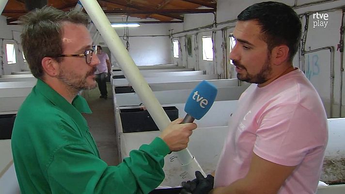 Aquí hay trabajo - Récord de afiliados extranjeros en Segovia