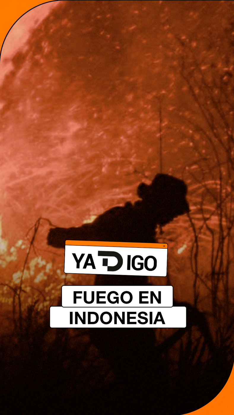 Miniatura gráfica con atmósfera rojiza de incendio forestal, la silueta de un bombero entre humo y texto informativo superpuesto.