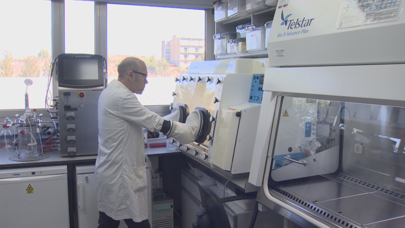 Investigadores de la Región descubren las bacterias que ayudan a frenar el párkinson