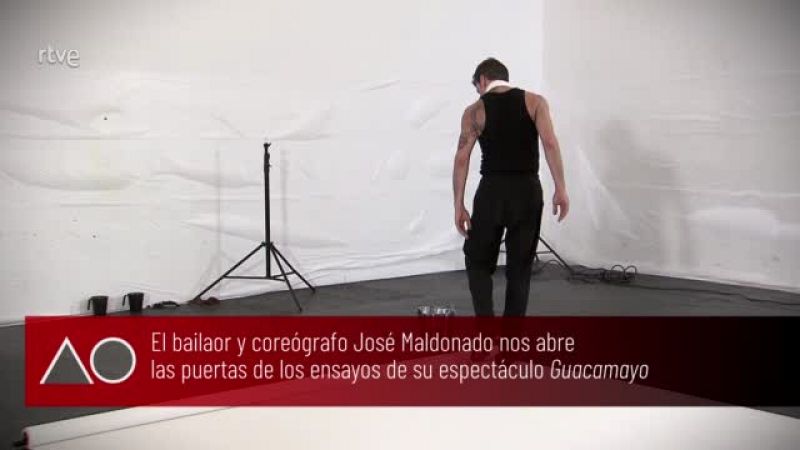 directo_cms_rtve_arribaizquierda_A_O_366_GUACAMAYO_12_10_2026_105458