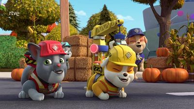 Plano medio de cachorros de animación infantil con cascos y chalecos de construcción en un entorno campestre con paja y calabazas.