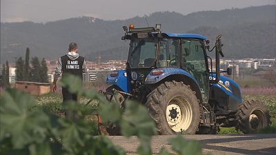 La futura PAC reforça el relleu generacional però manté el debat pel finançament
