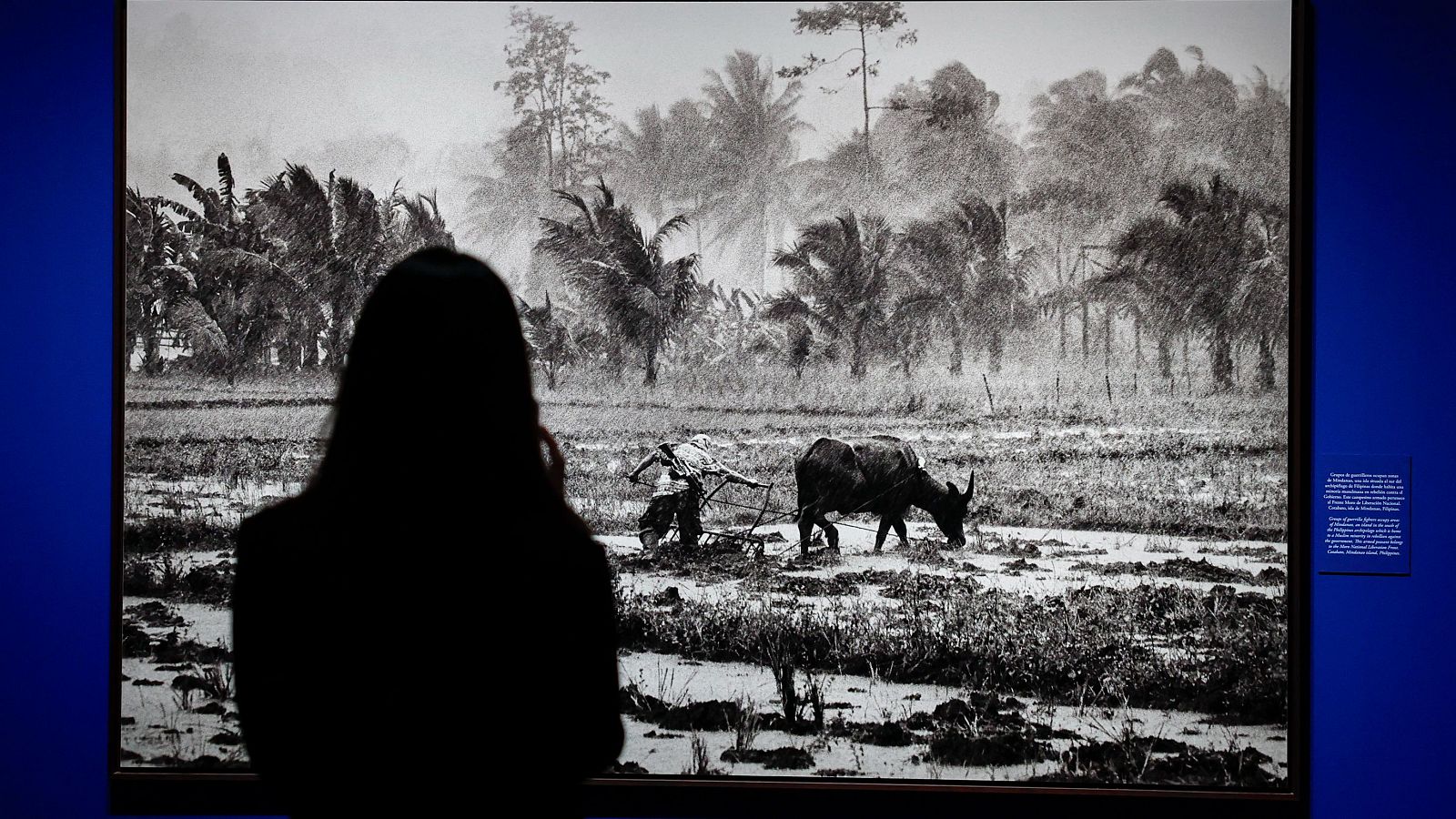 Exposición de Sebastião Salgado