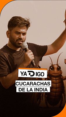 YaTDigo - #YaTDigo: Cucarachas de la India - 27/10/26