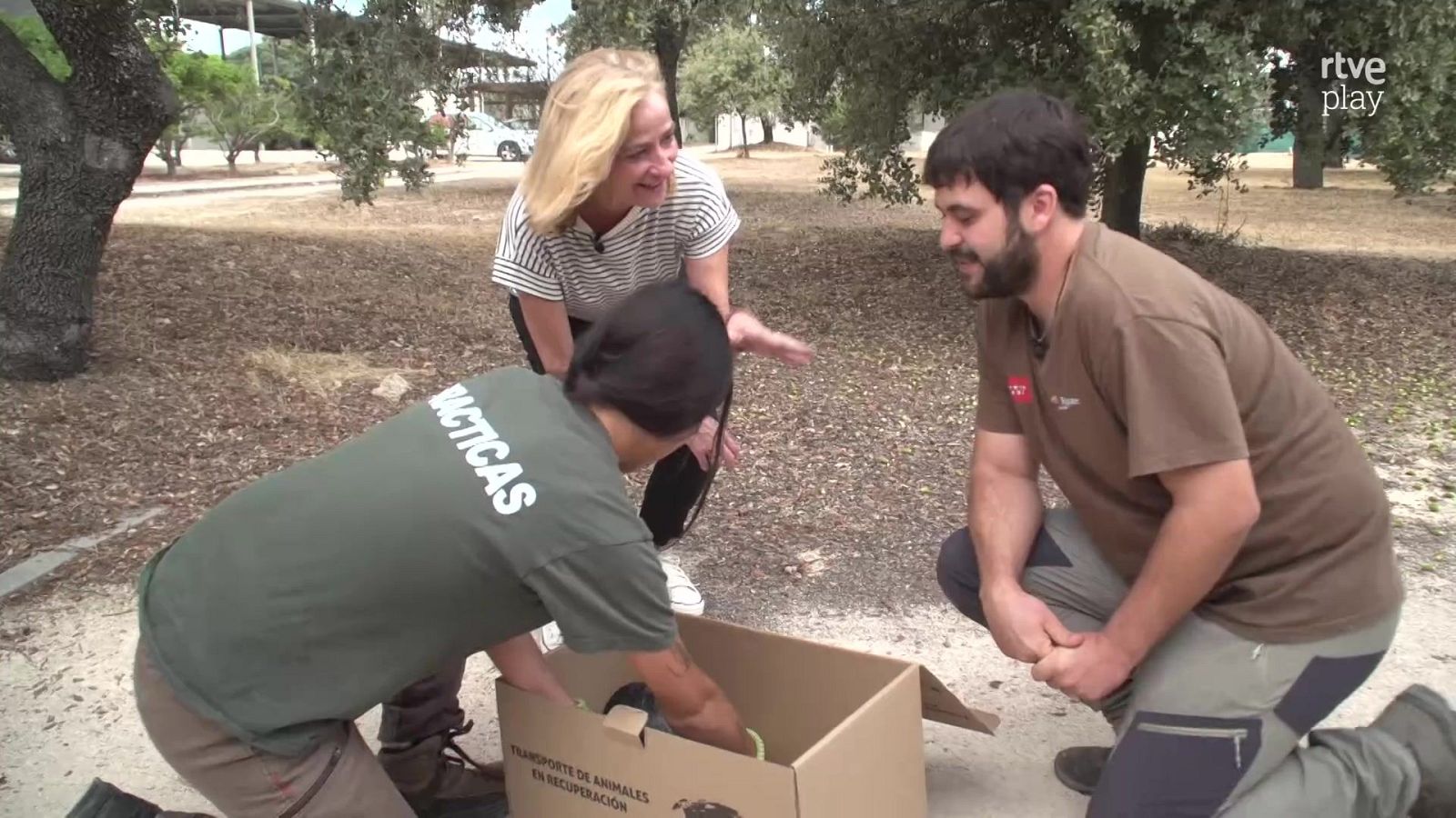 Tres personas interactúan junto a una caja de transporte de animales en un entorno natural arbolado durante un reportaje televisivo.