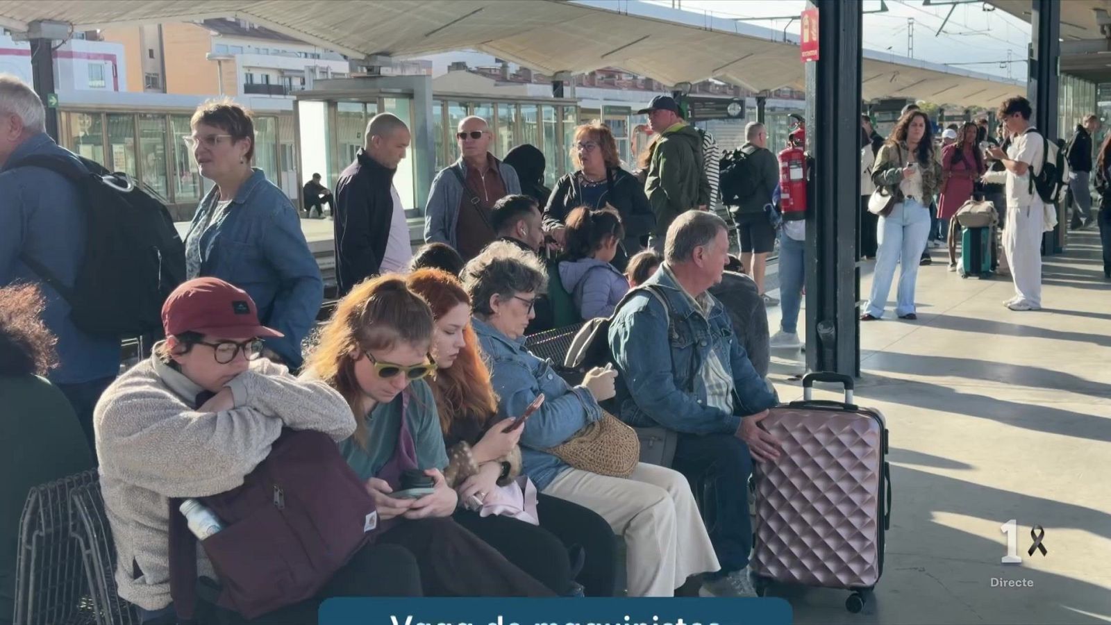 Jornada de dol marcada per la vaga de maquinistes - L'Informatiu