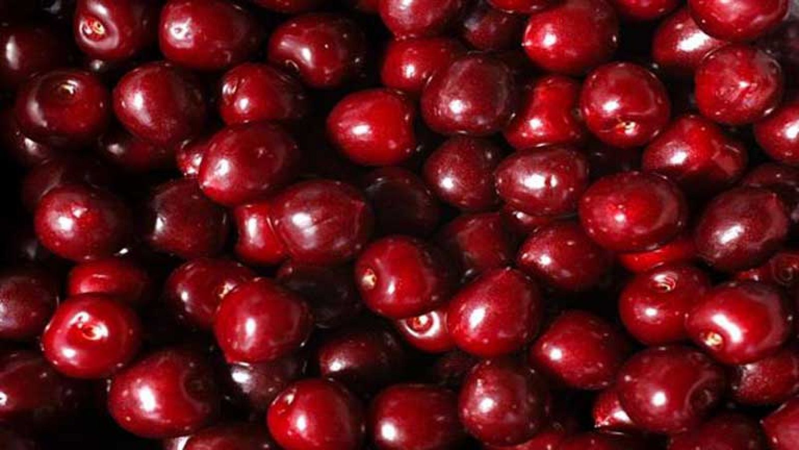 Con la primavera llegan las cerezas más caras del mercado