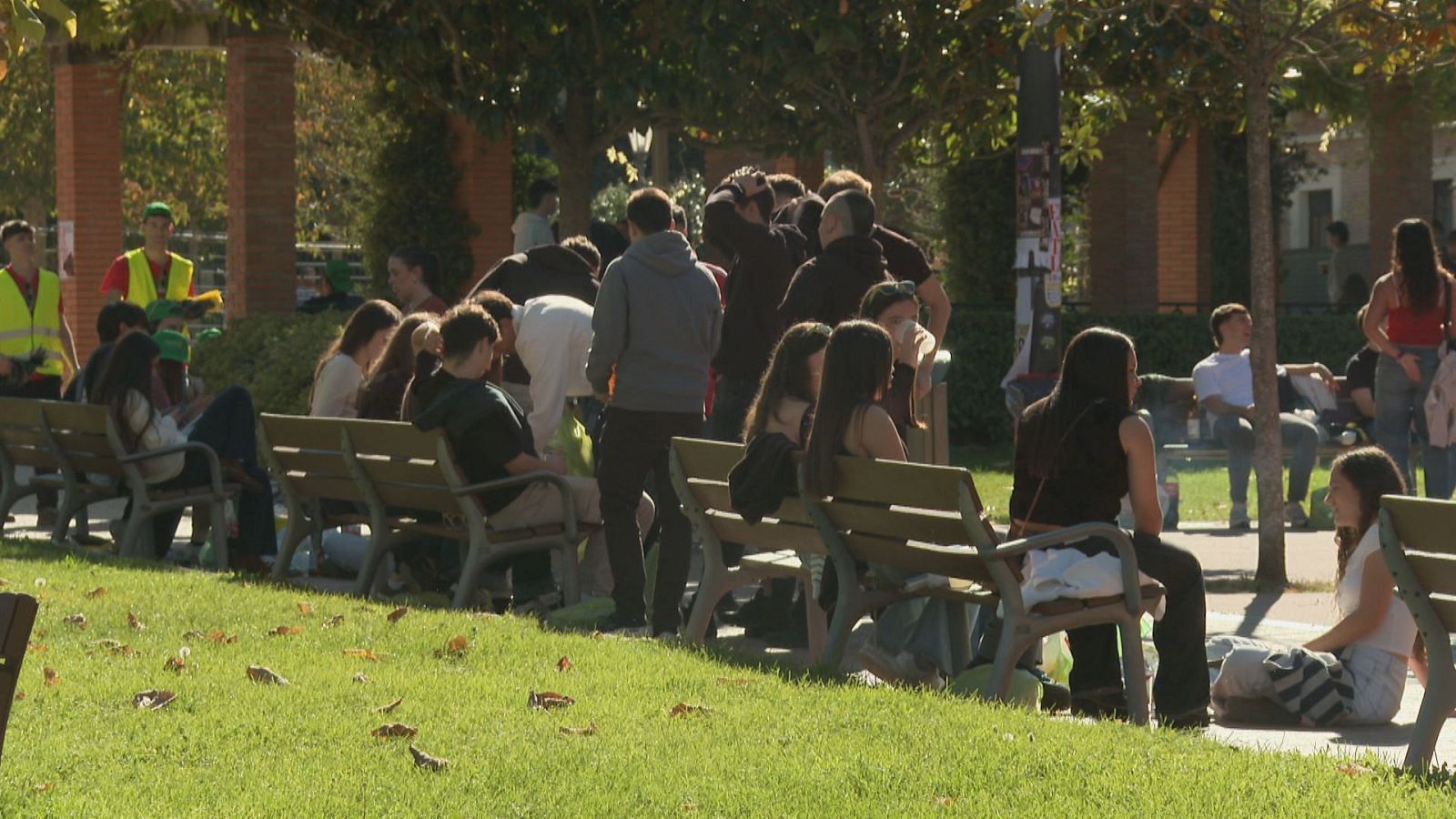 Jóvenes estudiantes descansan y charlan en bancos y césped de un campus universitario un día soleado.
