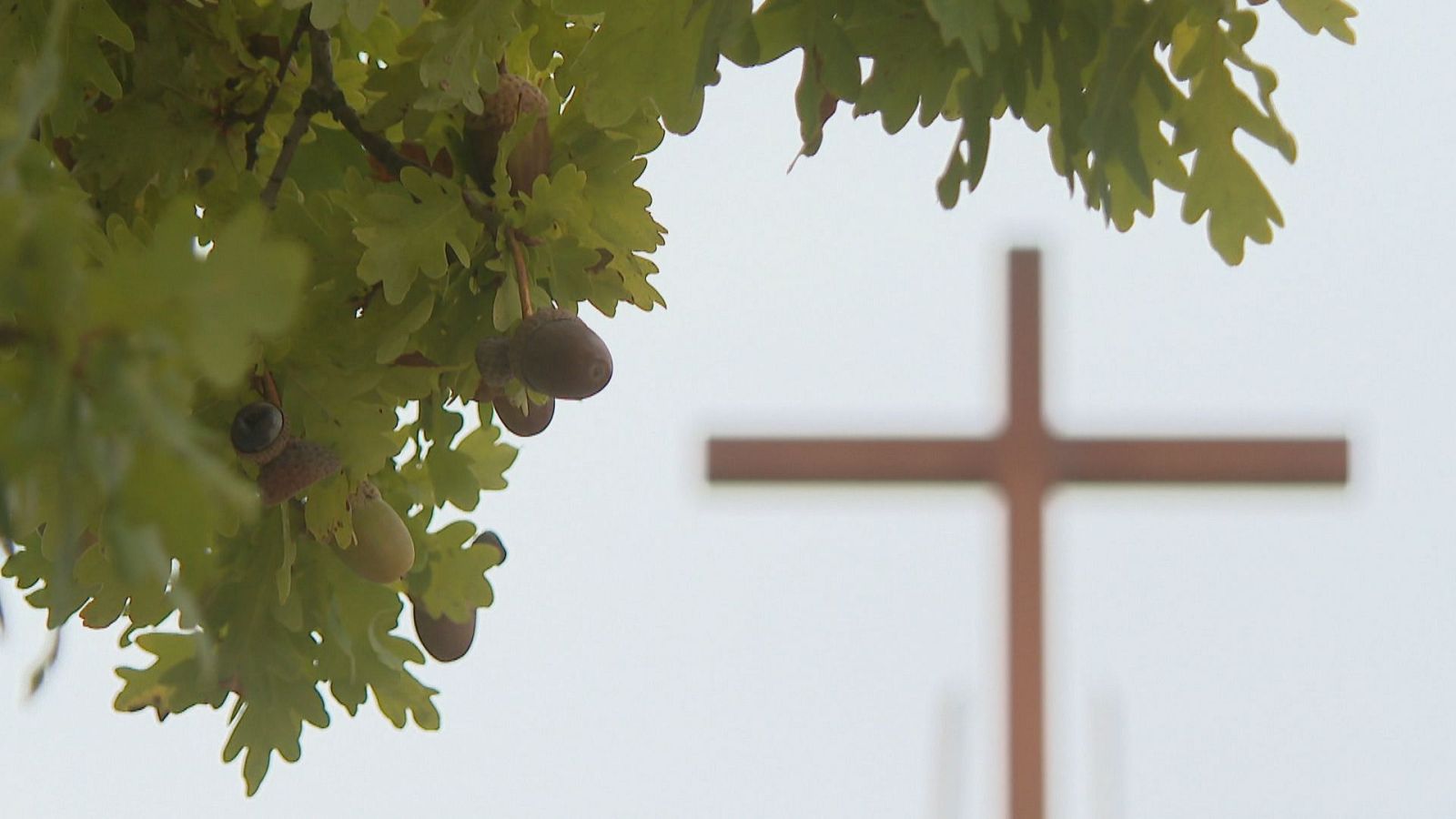 Rama de roble con hojas verdes y bellotas en primer plano, con una cruz moderna desenfocada al fondo bajo un cielo nublado.