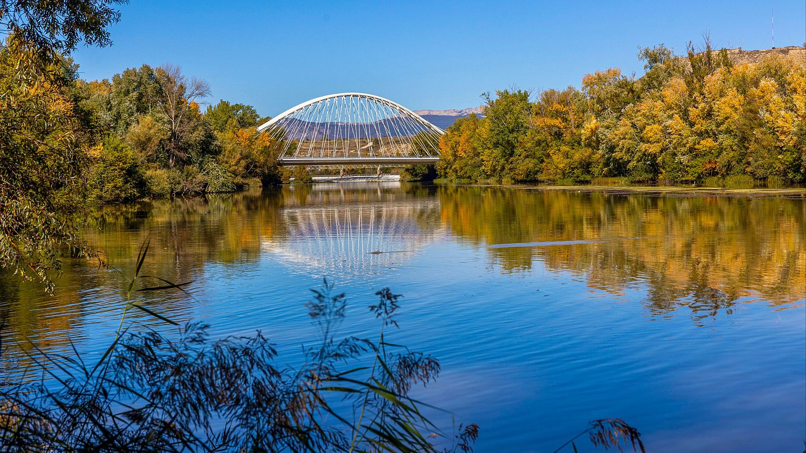 El puente de Práxedes Mateo Sagasta (Logroño)