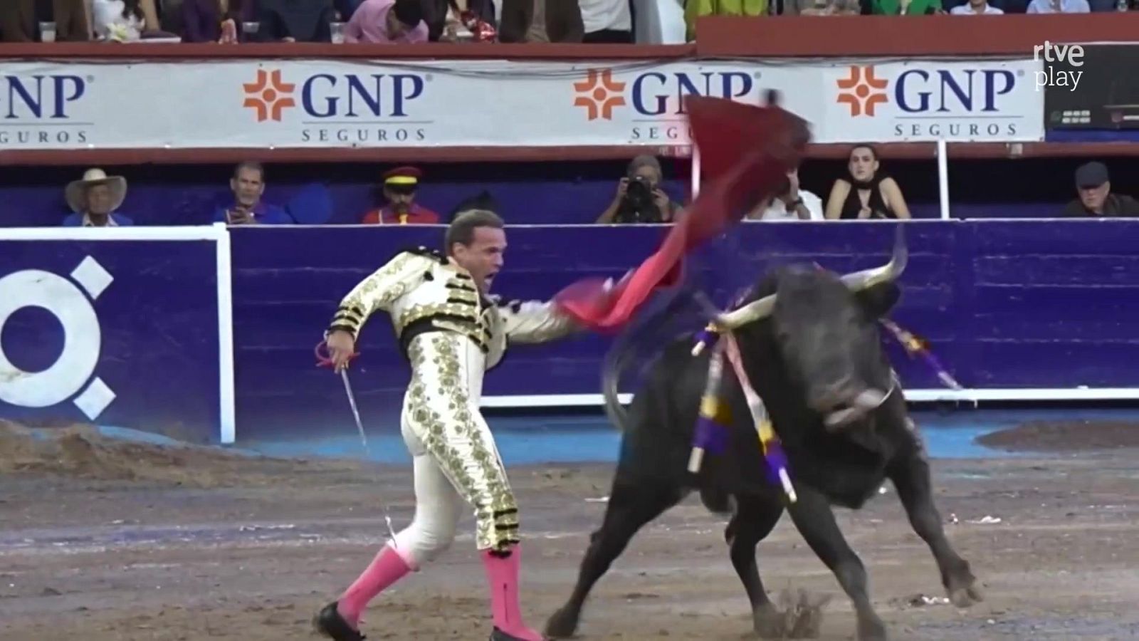 Torero vestido de blanco y oro ejecuta un pase con la muleta a un toro negro en el ruedo de una plaza.