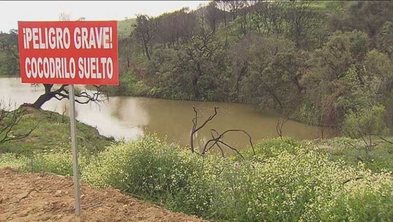 Buscan un cocodrilo de mas de dos metros en Mijas