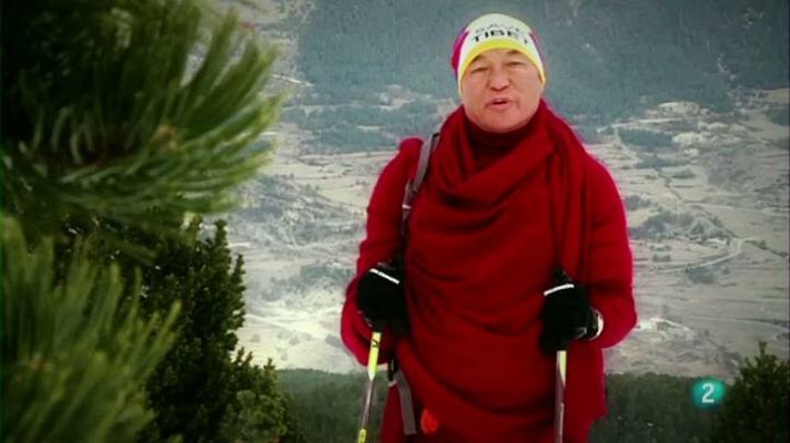 Cims - Thubten Wangchen