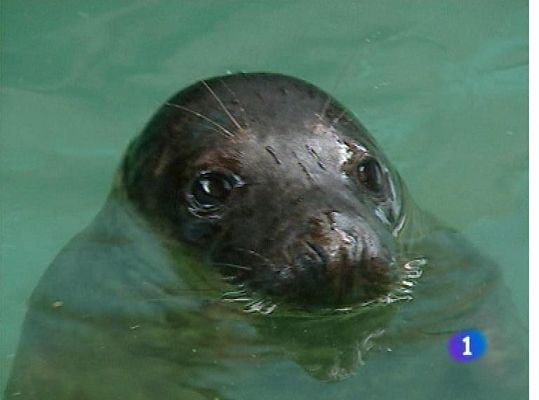 Panorama Regional - Panorama Regional 2 - 22/03/13