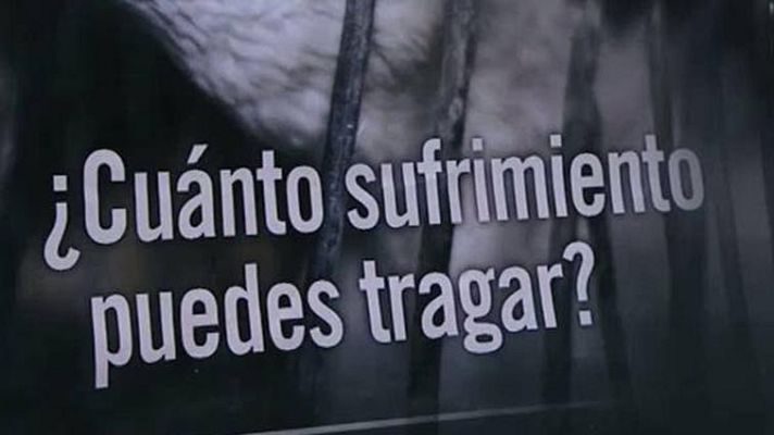 El escarabajo verde - Rebelión en la granja