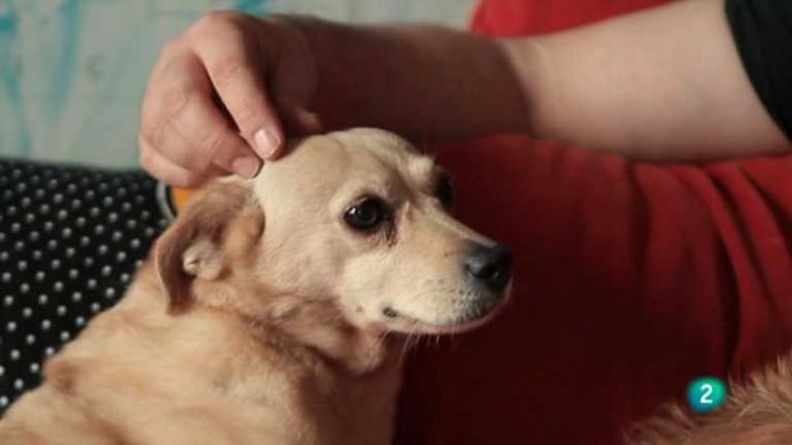 Biodiario - Biodiario - 24/03/13