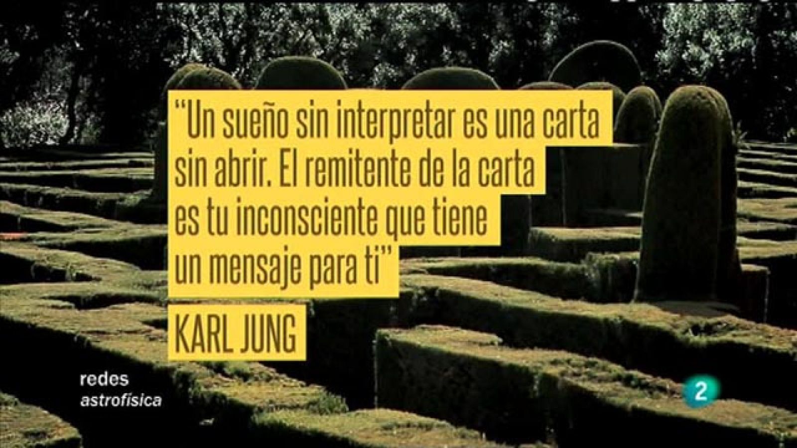 Redes - La mirada de Elsa -  El inconsciente