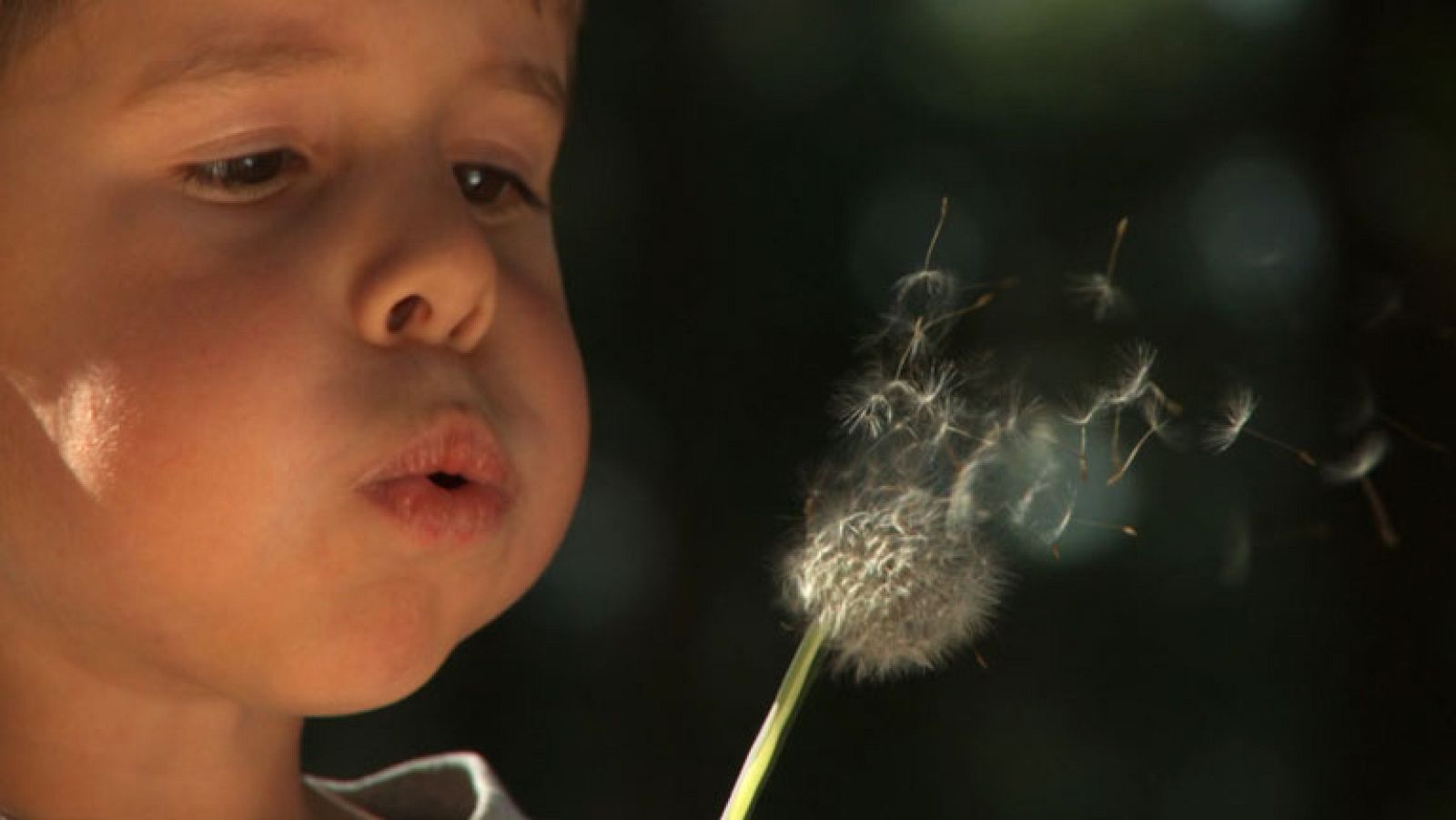 Documentos TV - Vuelve a jugar - Avance - Documentos TV | Ver