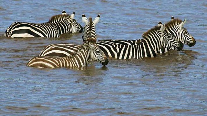 Grandes documentales - Mara, el río de la muerte