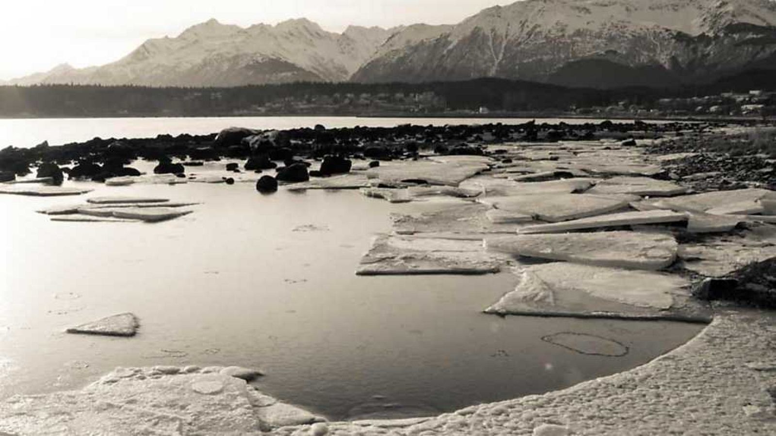 Docufilia - Supervivencia: Unos grados de más  - Ver ahora
