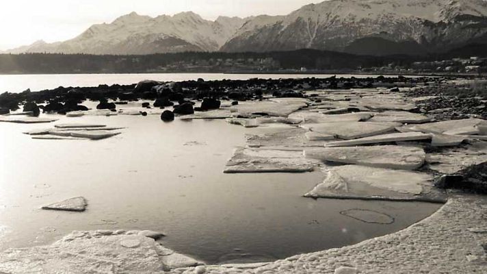 Documenta2 - Supervivencia. Unos grados de más