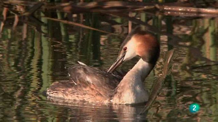 Biodiario - Biodiario - 27/03/13