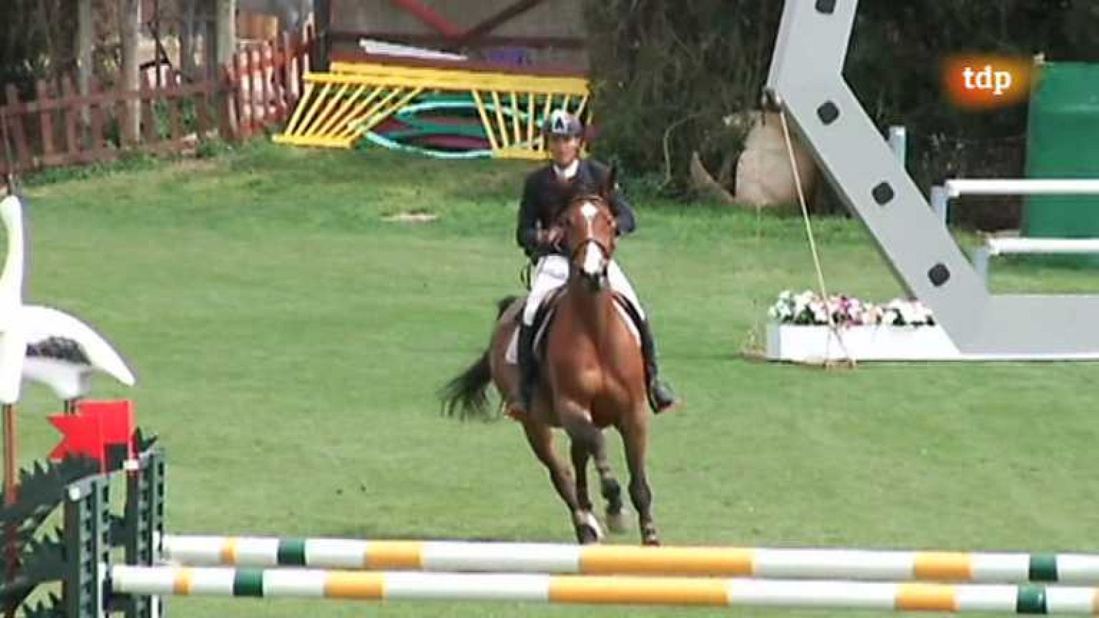 Hípica - Concurso de saltos Sunshine Tour 2013, 1º programa - Ver ahora