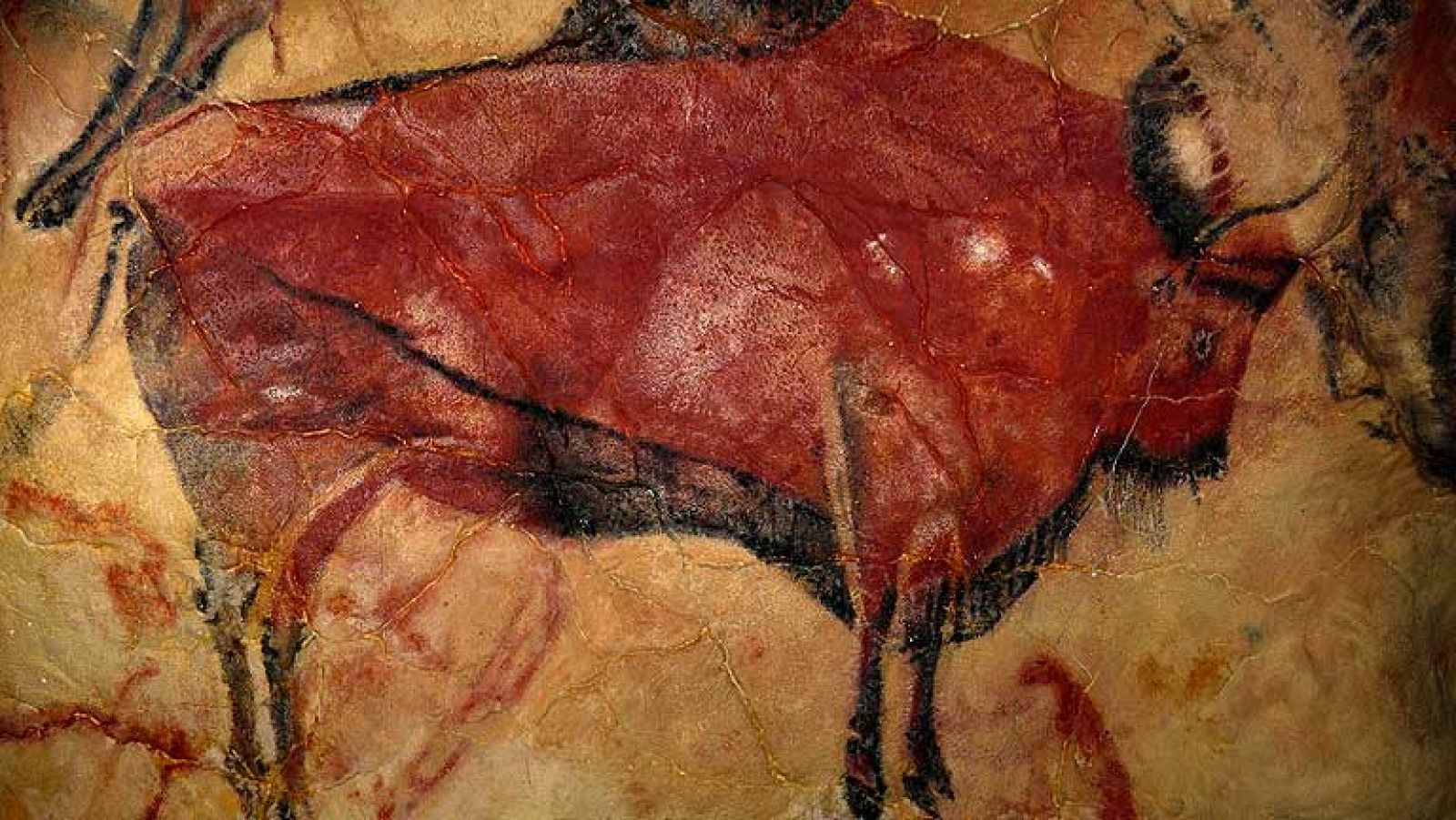 Las pinturas de Altamira podrían ser el arte rupestre más antiguo | Ver