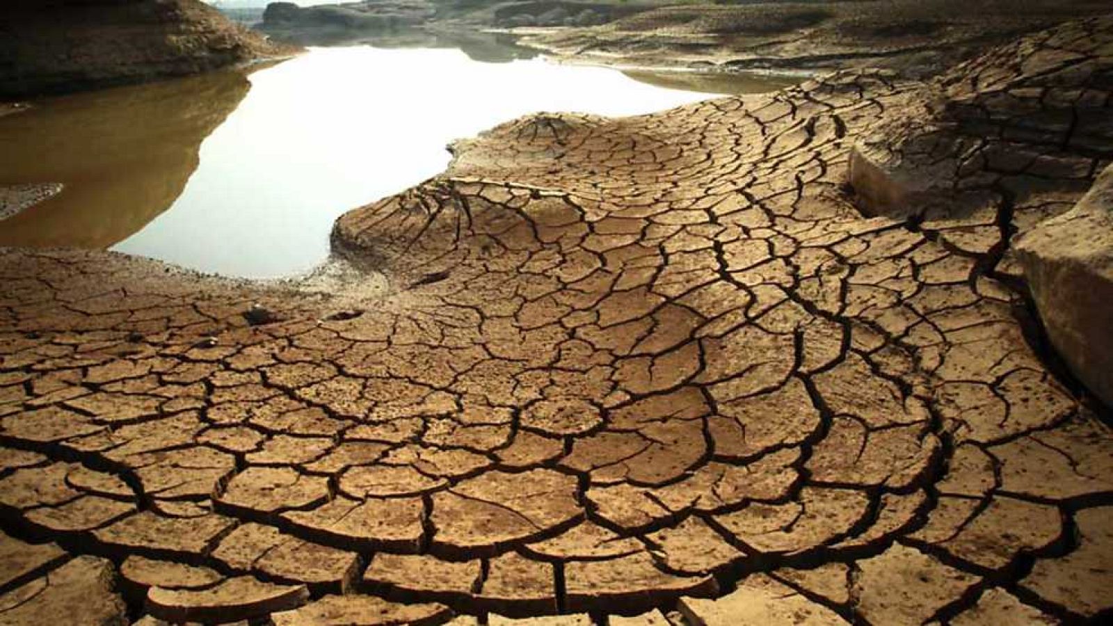 Docufilia: Supervivencia. Hasta la última gota - ver ahora