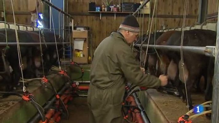 Telediario 1 - Alimentación ecológica