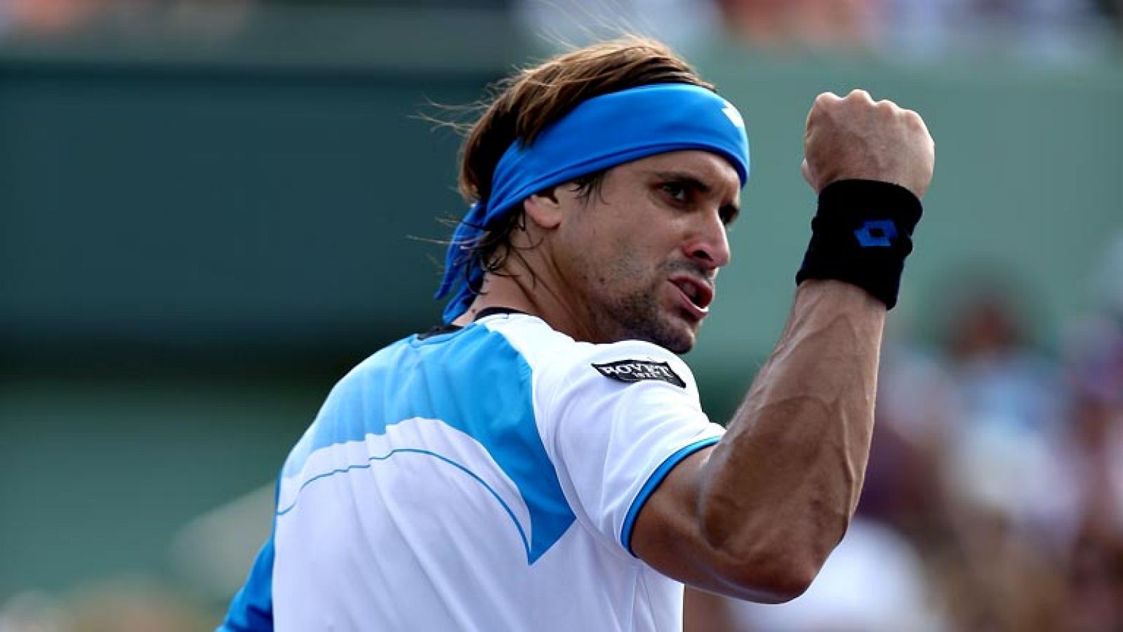 El tenista español David Ferrer se ha clasificado para la final  del Masters 1.000 de Miami, segundo de la temporada, después de  imponerse al alemán Tommy Haas (4-6, 6-2, 6-3), consiguiendo así el  pase a su quinta final de un torneo de esta categor